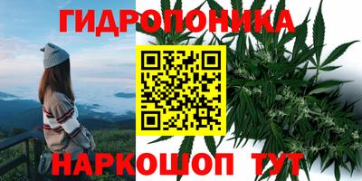 мдпв Дубна